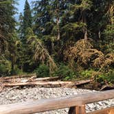 Review photo of Ipsut Creek Backcountry Campground — Mount Rainier National Park by Marley B., August 10, 2016