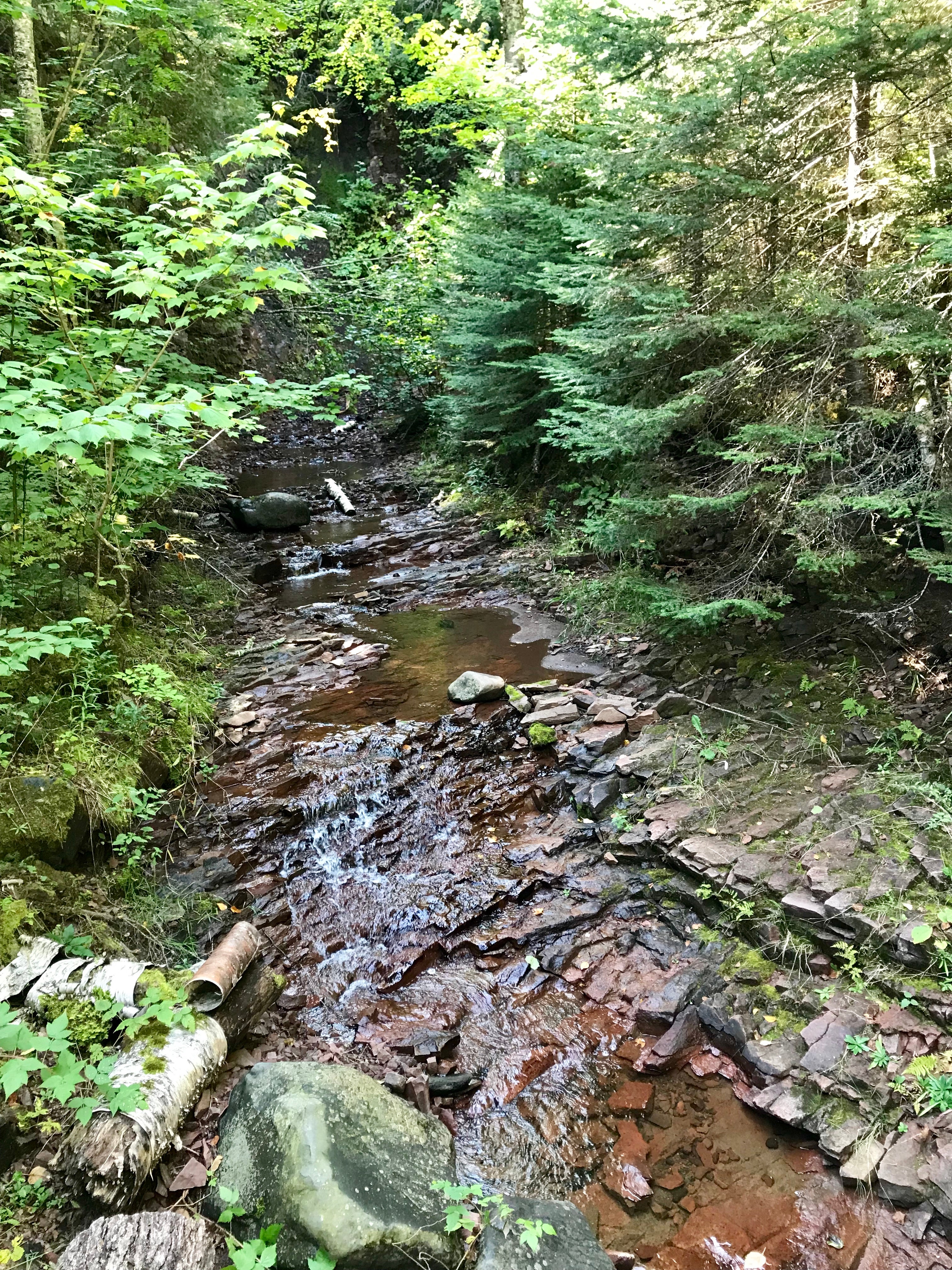 Camper submitted image from Crow Creek, Superior Hiking Trail - 3