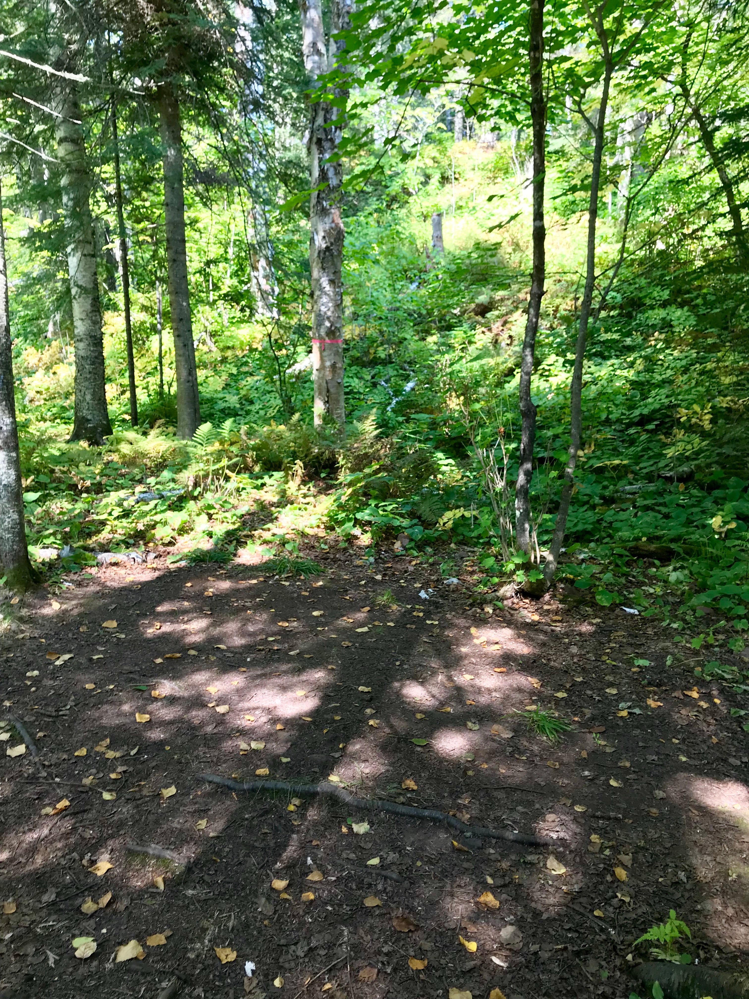 Camper submitted image from Crow Creek, Superior Hiking Trail - 4
