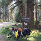 Review photo of Ipsut Creek Backcountry Campground — Mount Rainier National Park by Marley B., August 10, 2016