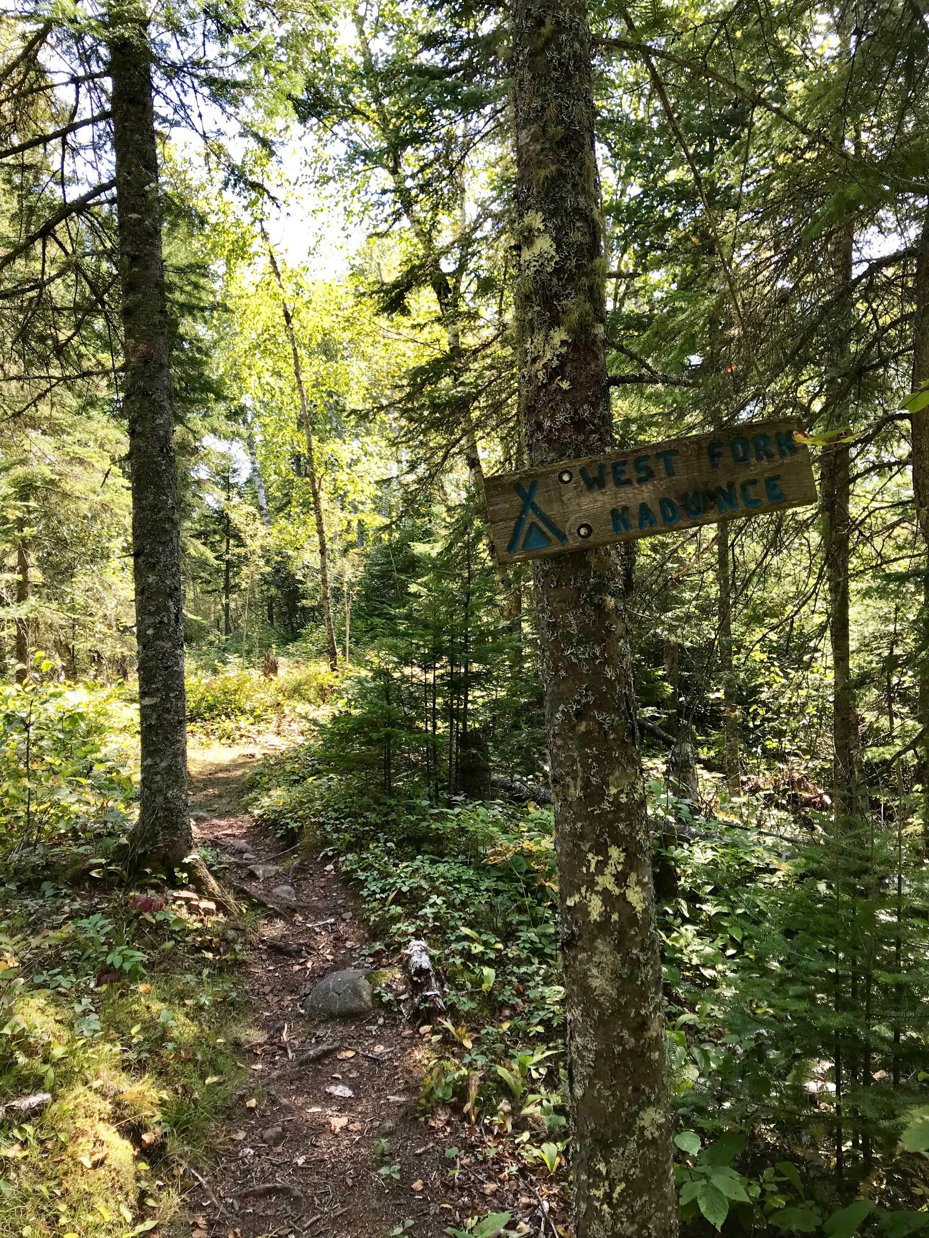 Camper submitted image from West Fork of the Kadunce, Superior Hiking Trail - 2