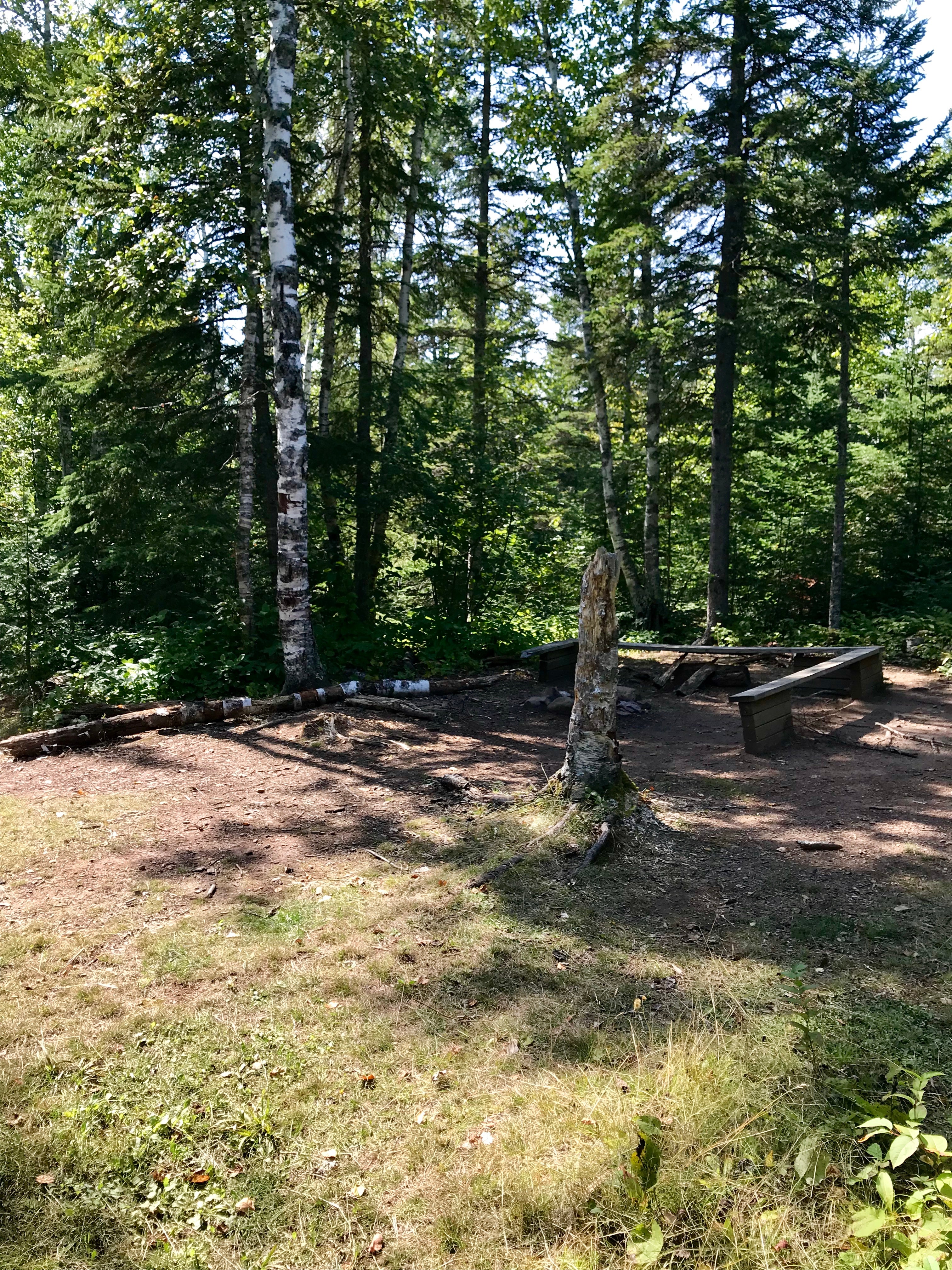 Camper submitted image from West Fork of the Kadunce, Superior Hiking Trail - 5