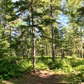 Review photo of West Fork of the Kadunce, Superior Hiking Trail by Steph H., September 23, 2018