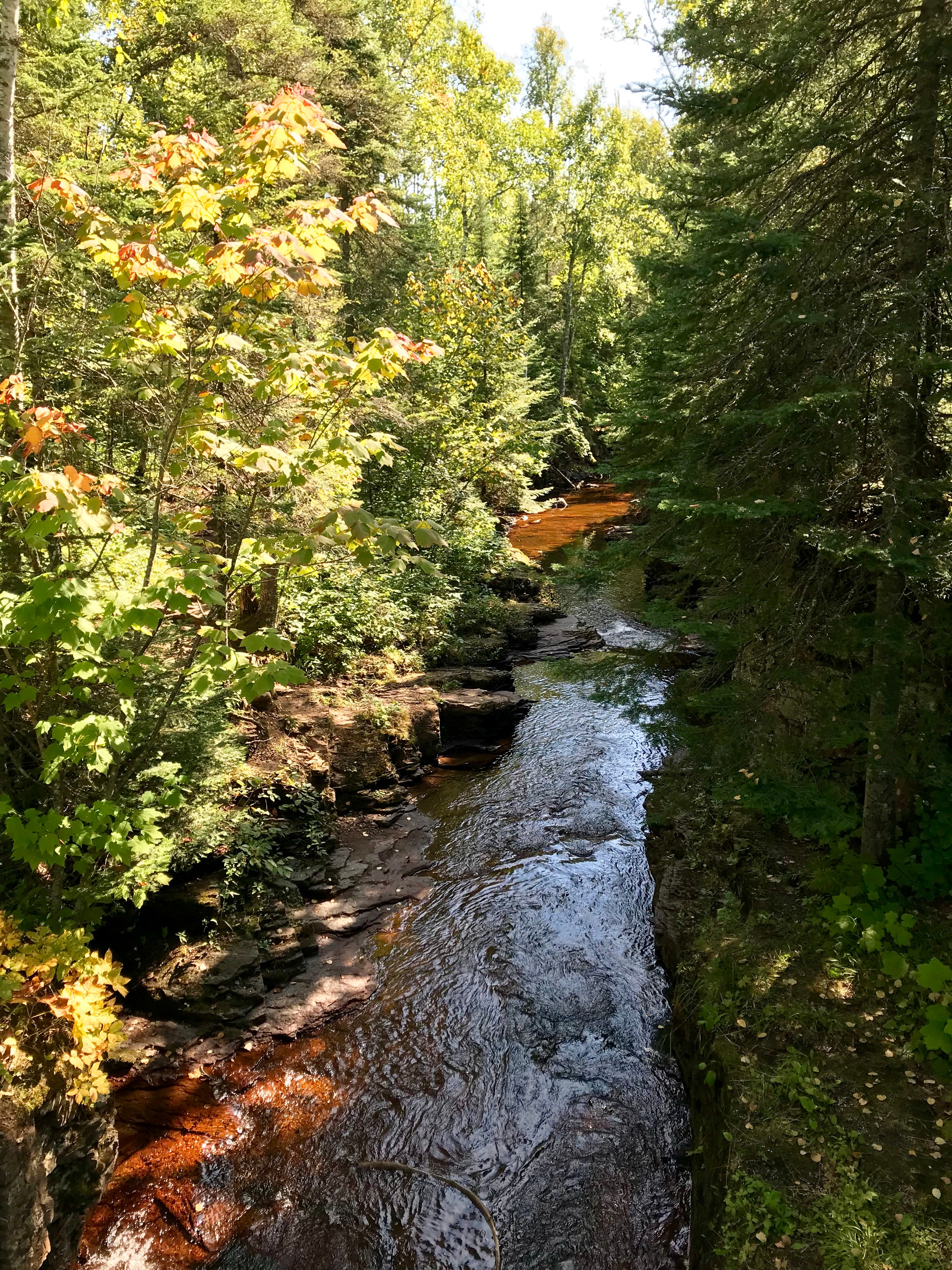 Camper submitted image from West Fork of the Kadunce, Superior Hiking Trail - 3