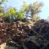 Review photo of West Fork of the Kadunce, Superior Hiking Trail by Steph H., September 23, 2018