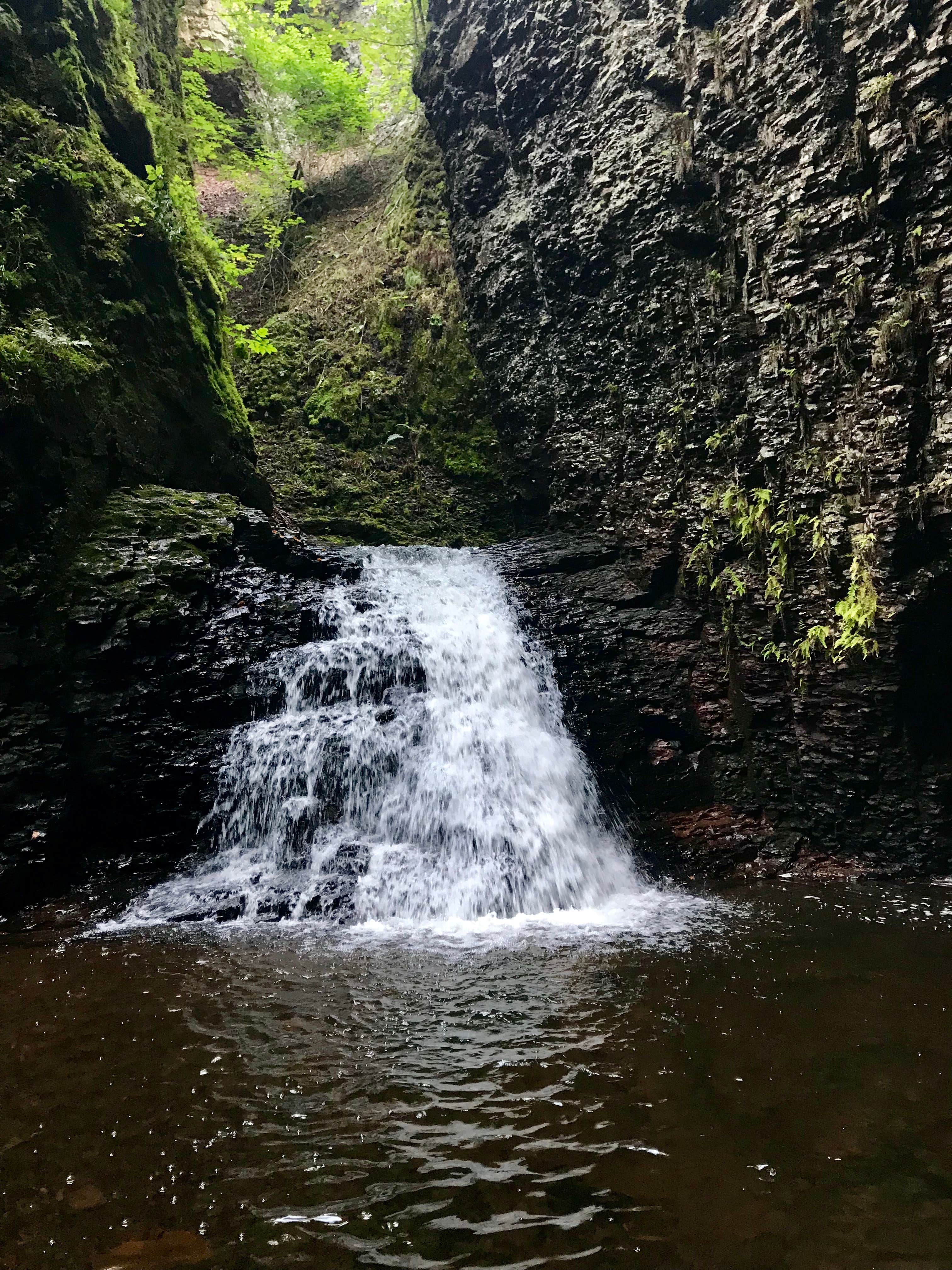 Camping near Grand Portgage Lodge & Casino: West Fork of the Kadunce, Superior Hiking Trail, Grand Marais, Minnesota
