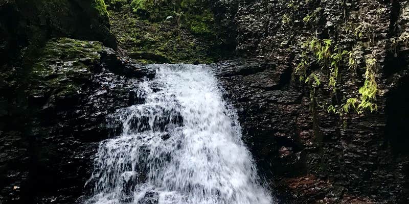 Camper submitted image from West Fork of the Kadunce, Superior Hiking Trail