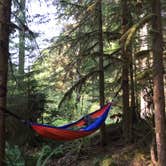 Review photo of Ipsut Creek Backcountry Campground — Mount Rainier National Park by Marley B., August 10, 2016