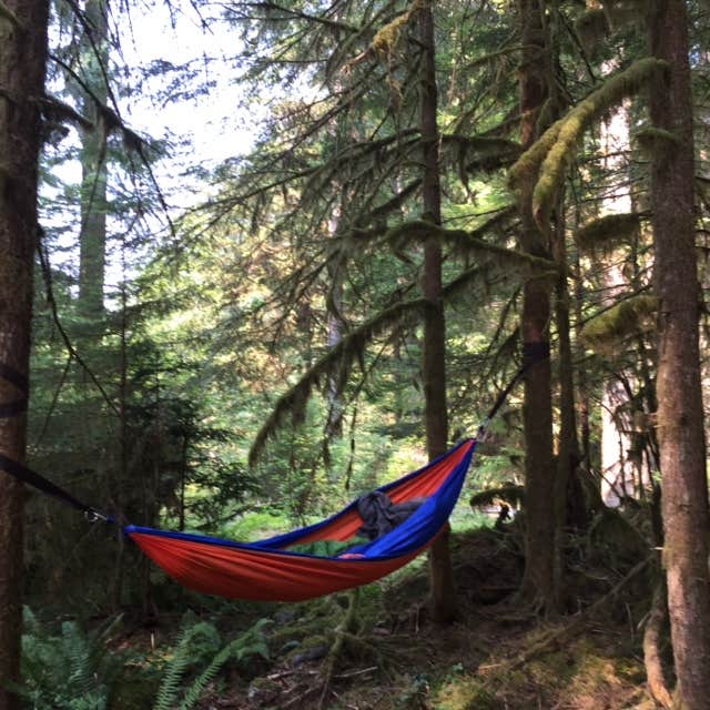 Camper submitted image from Ipsut Creek Backcountry Campground — Mount Rainier National Park - 4