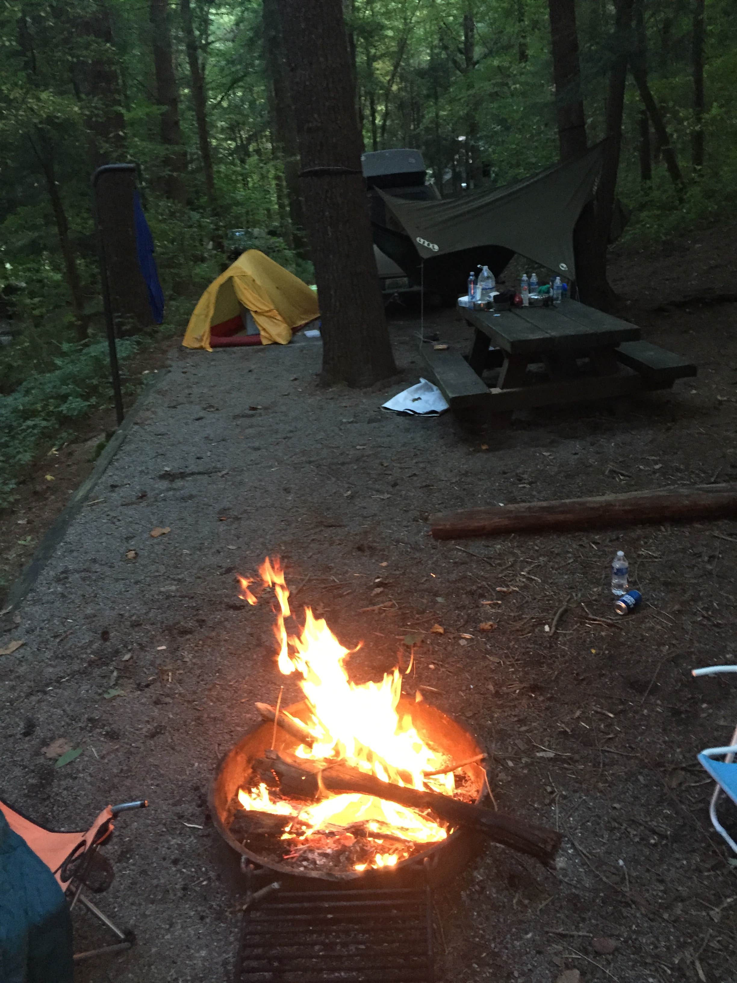 Camper-submitted photo at Lake Conasauga near Carters Lake
