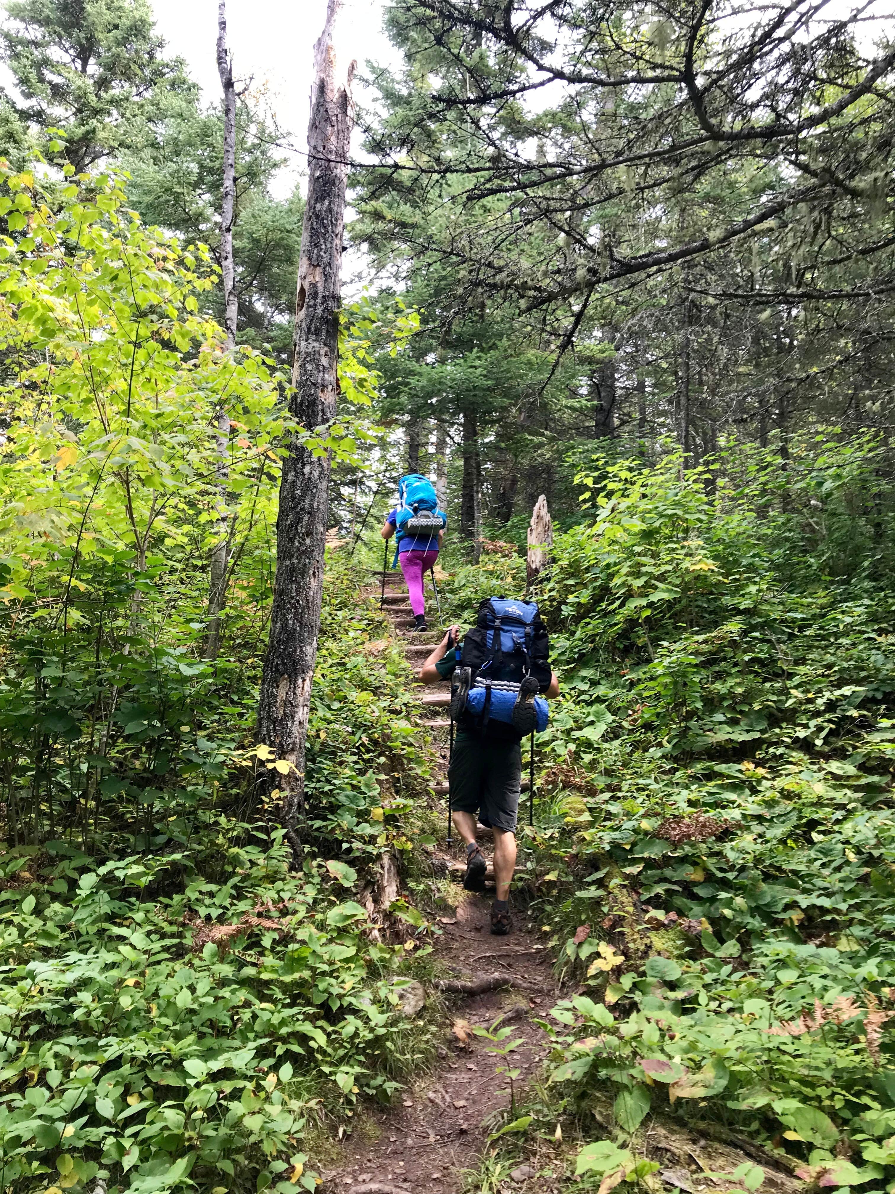 Camper submitted image from North Little Brule River, Superior Hiking Trail - 5