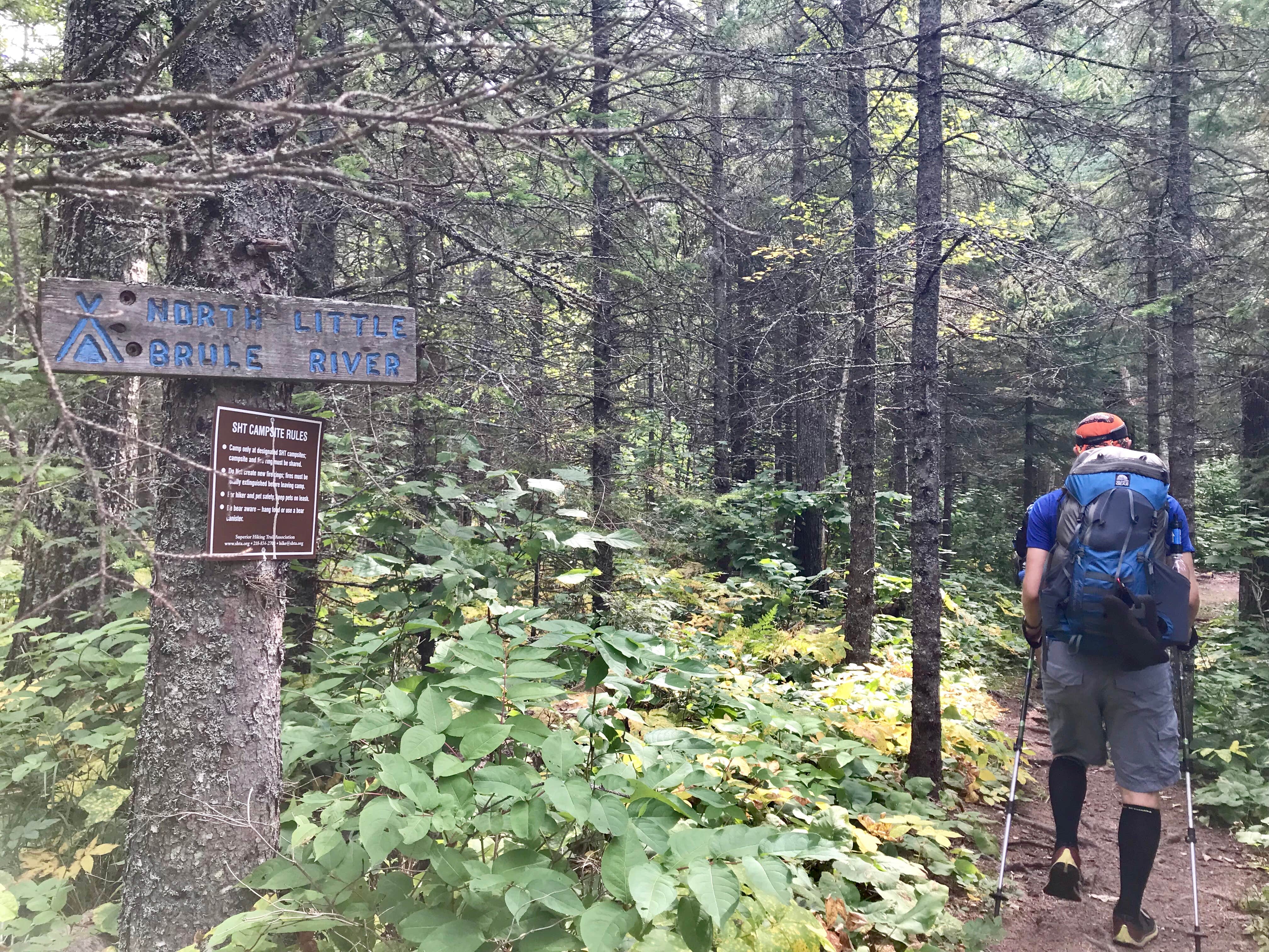 Camper submitted image from North Little Brule River, Superior Hiking Trail - 5