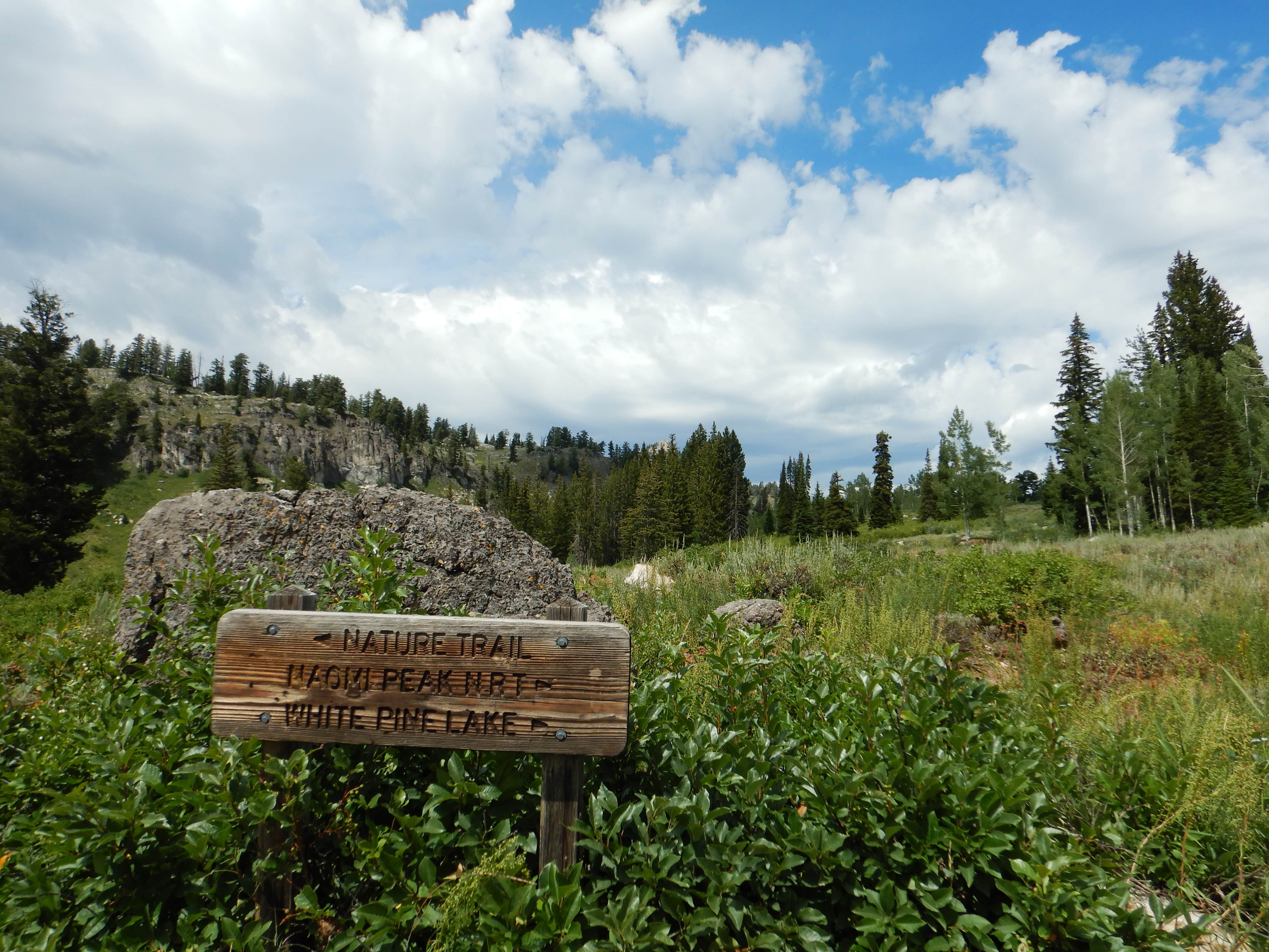 Camper submitted image from Bear Lake State Park - 1