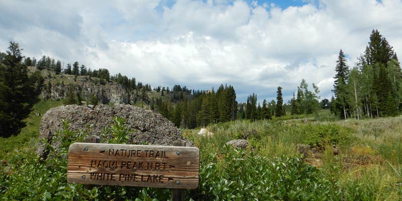 Camper submitted image from Big Creek Campground — Bear Lake State Park