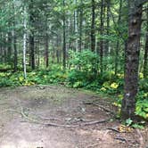 Review photo of North Little Brule River, Superior Hiking Trail by Steph H., September 23, 2018