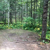 Review photo of North Little Brule River, Superior Hiking Trail by Steph H., September 23, 2018