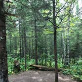 Review photo of North Little Brule River, Superior Hiking Trail by Steph H., September 23, 2018