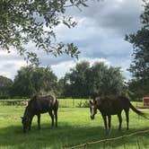 Review photo of Bill Frederick Park at Turkey Lake by Kelsey G., September 23, 2018