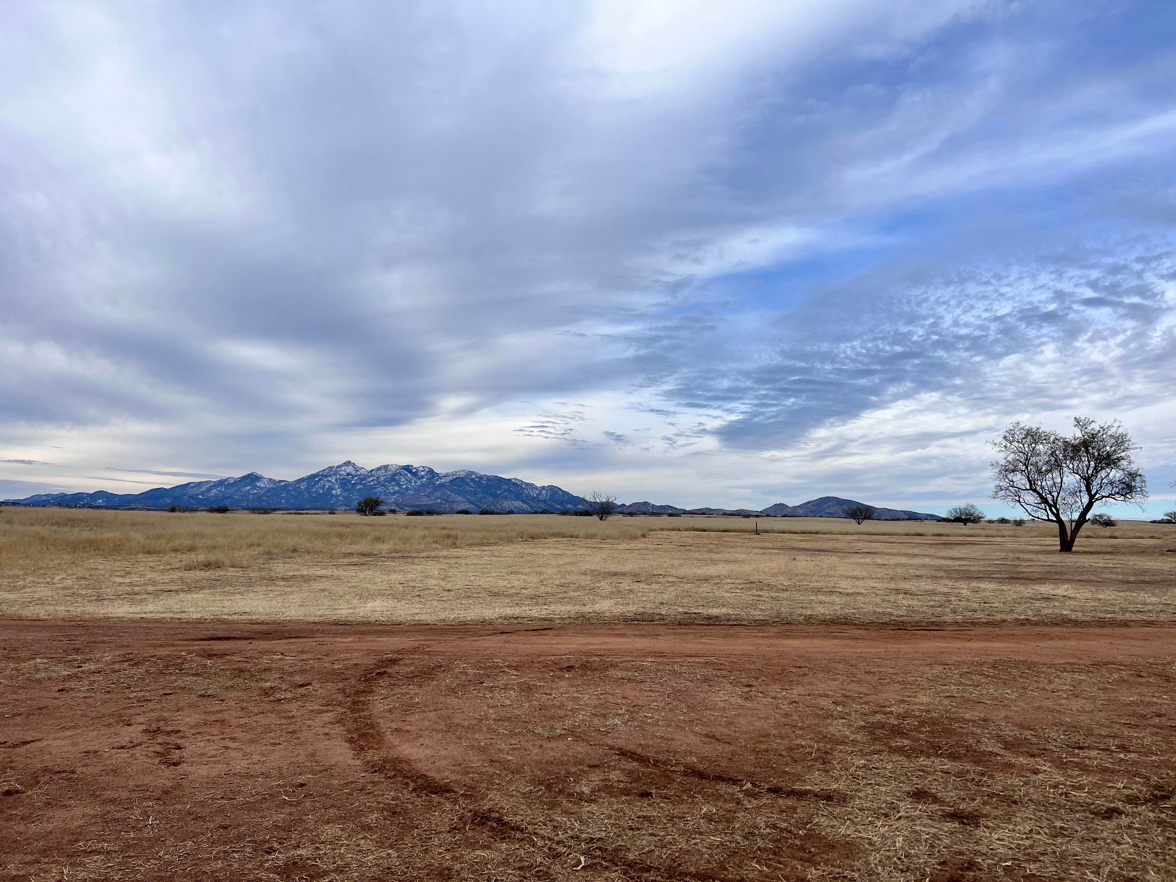 Camper-submitted photo at Maternity Well Dispersed Campsite near Sonoita, AZ