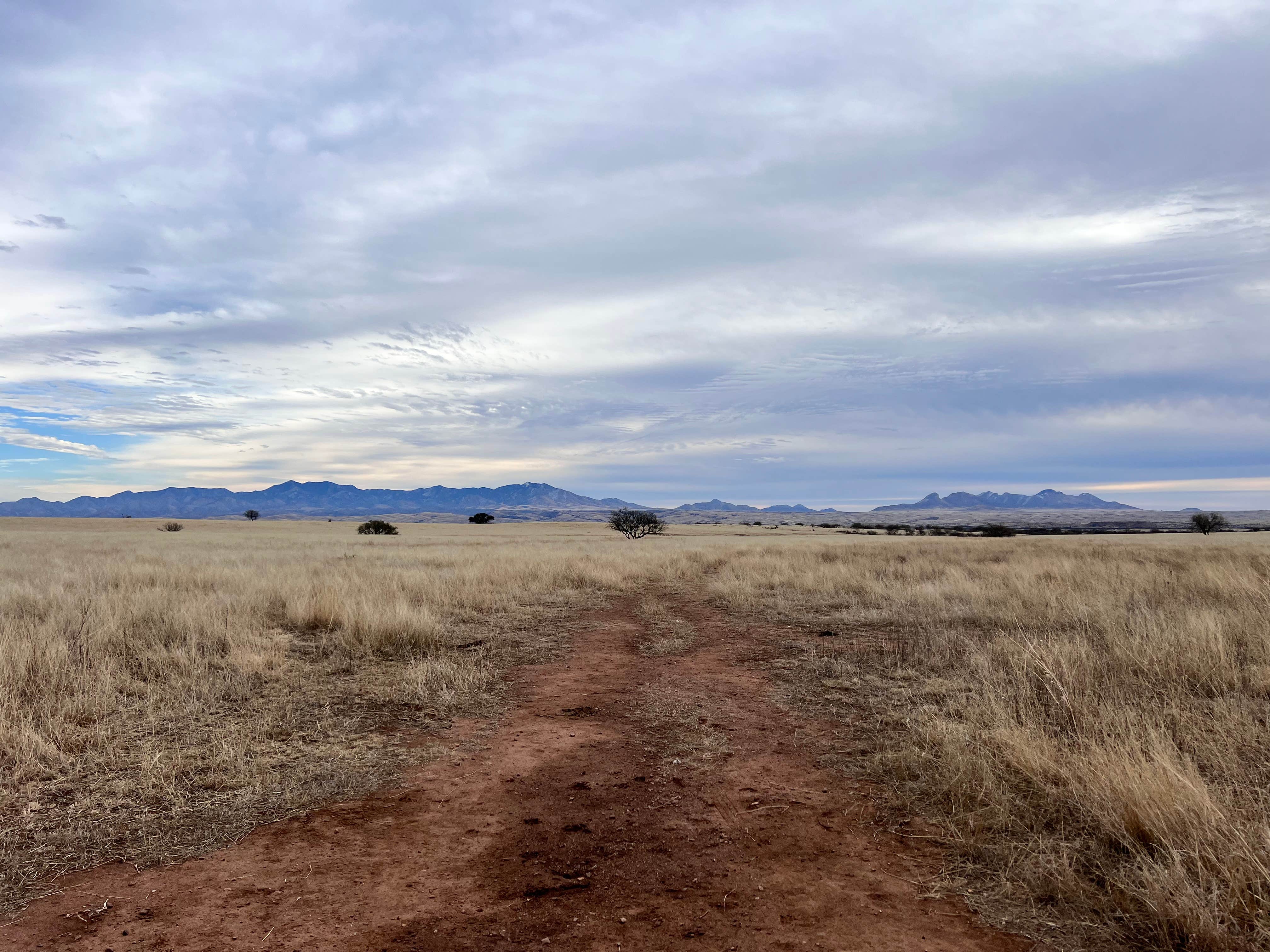 Camper-submitted photo at Maternity Well Dispersed Campsite near Sonoita, AZ