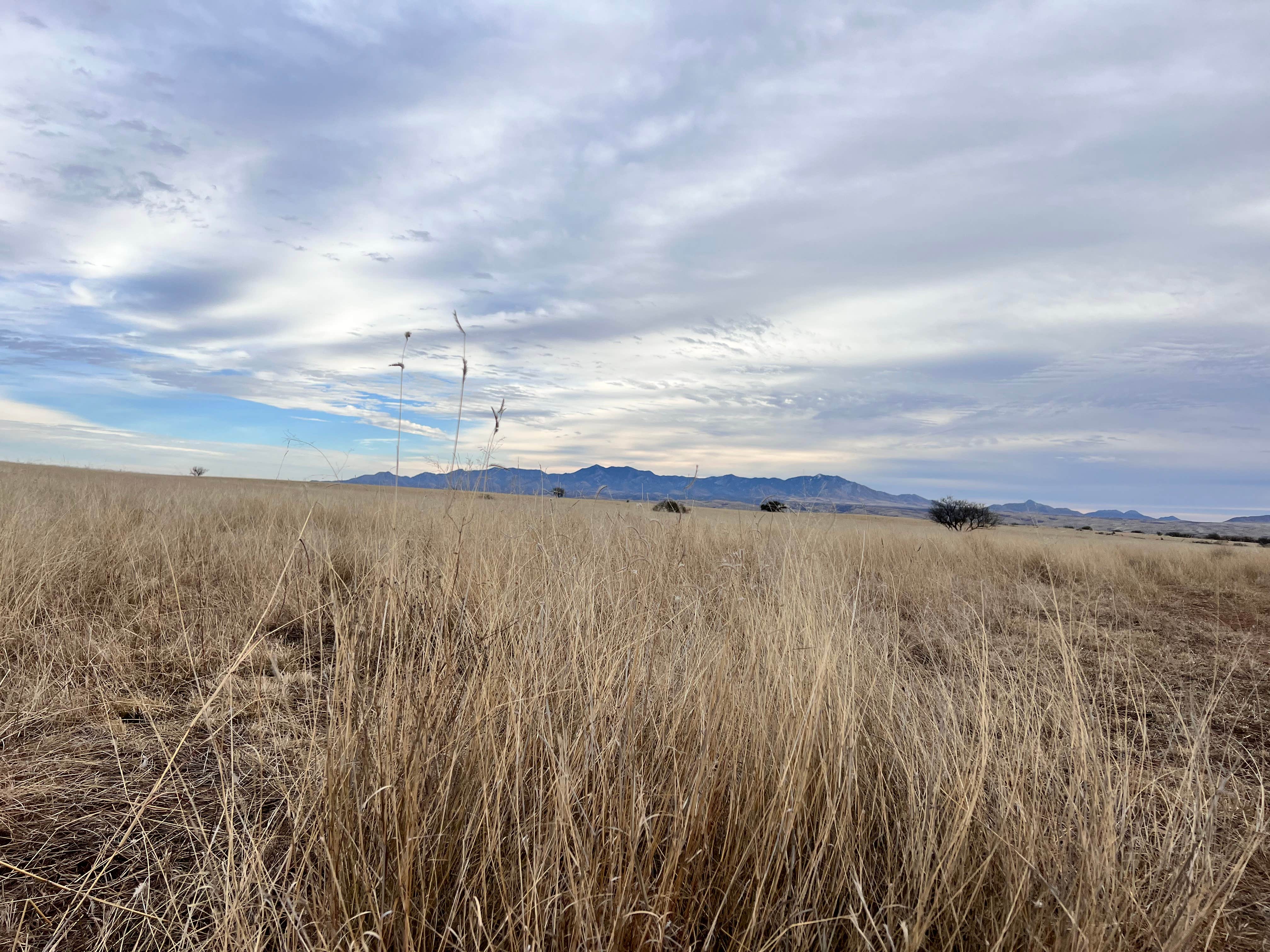 Camper-submitted photo at Maternity Well Dispersed Campsite near Sonoita, AZ