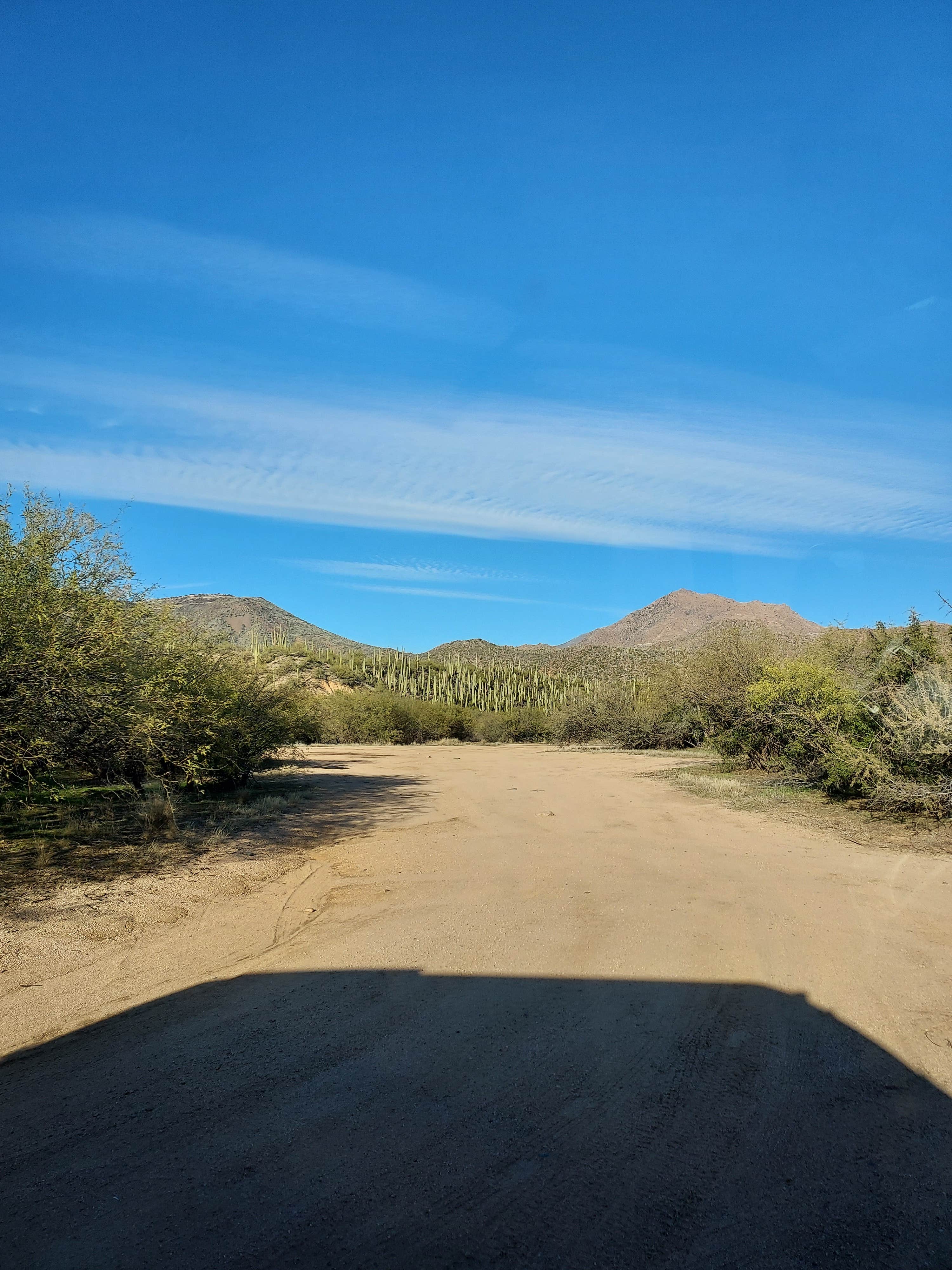 Noah E.'s photo of a dispersed camping area at Sycamore Creek Recreation Area near Mesa, AZ