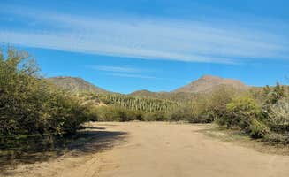 Noah E.'s photo of a dispersed camping area at Sycamore Creek Recreation Area near Mesa, AZ