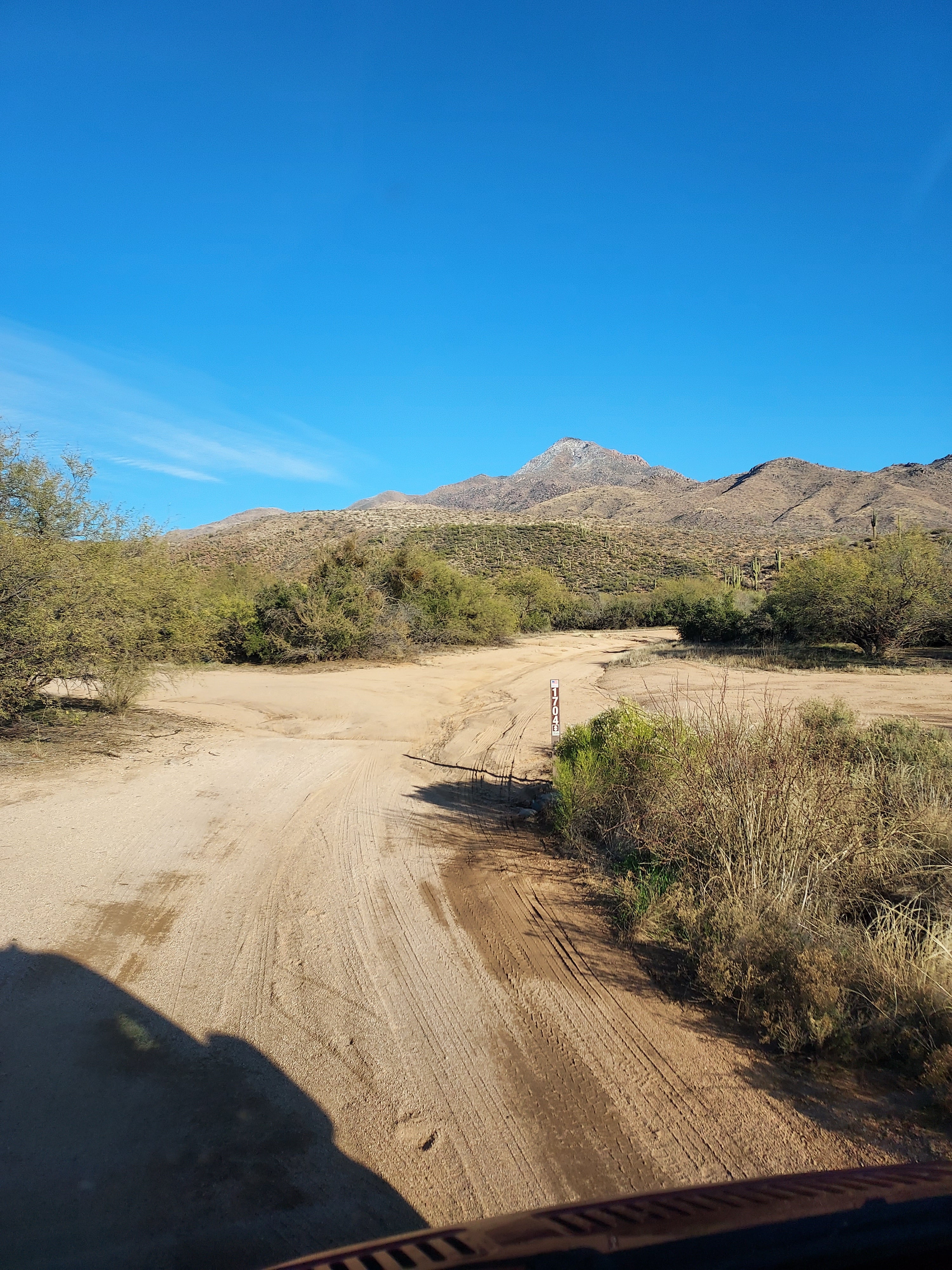 Camper submitted image from Sycamore Creek Recreation Area - 2