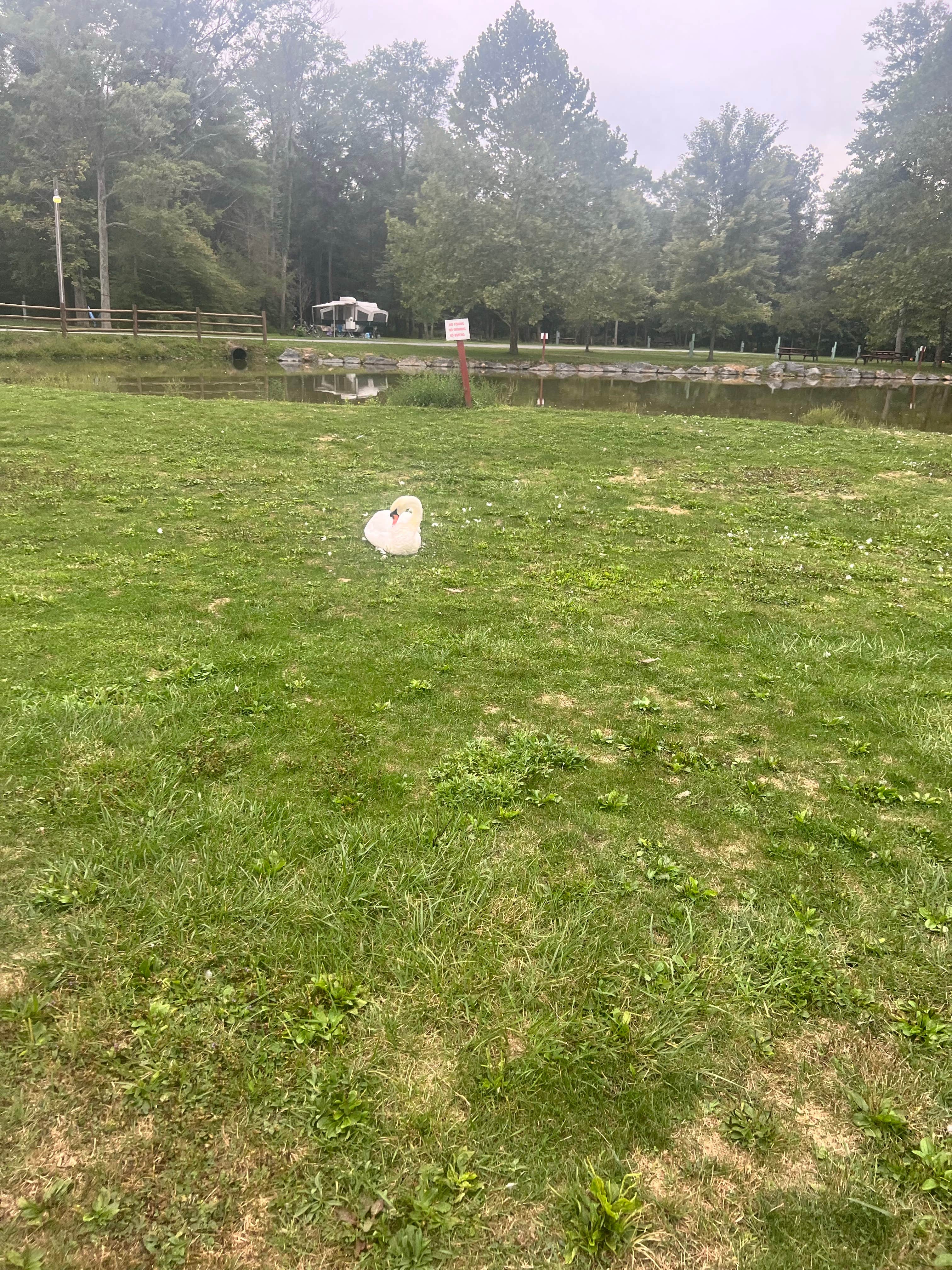 Camper-submitted photo at Lake Glory Campground near Mount Carmel, PA
