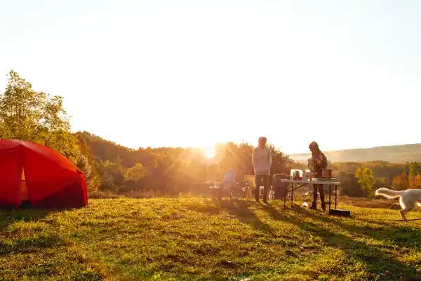 Camper submitted image from Gunx Camping on a Horse Farm - 1