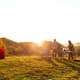 Gunx Camping on a Horse Farm