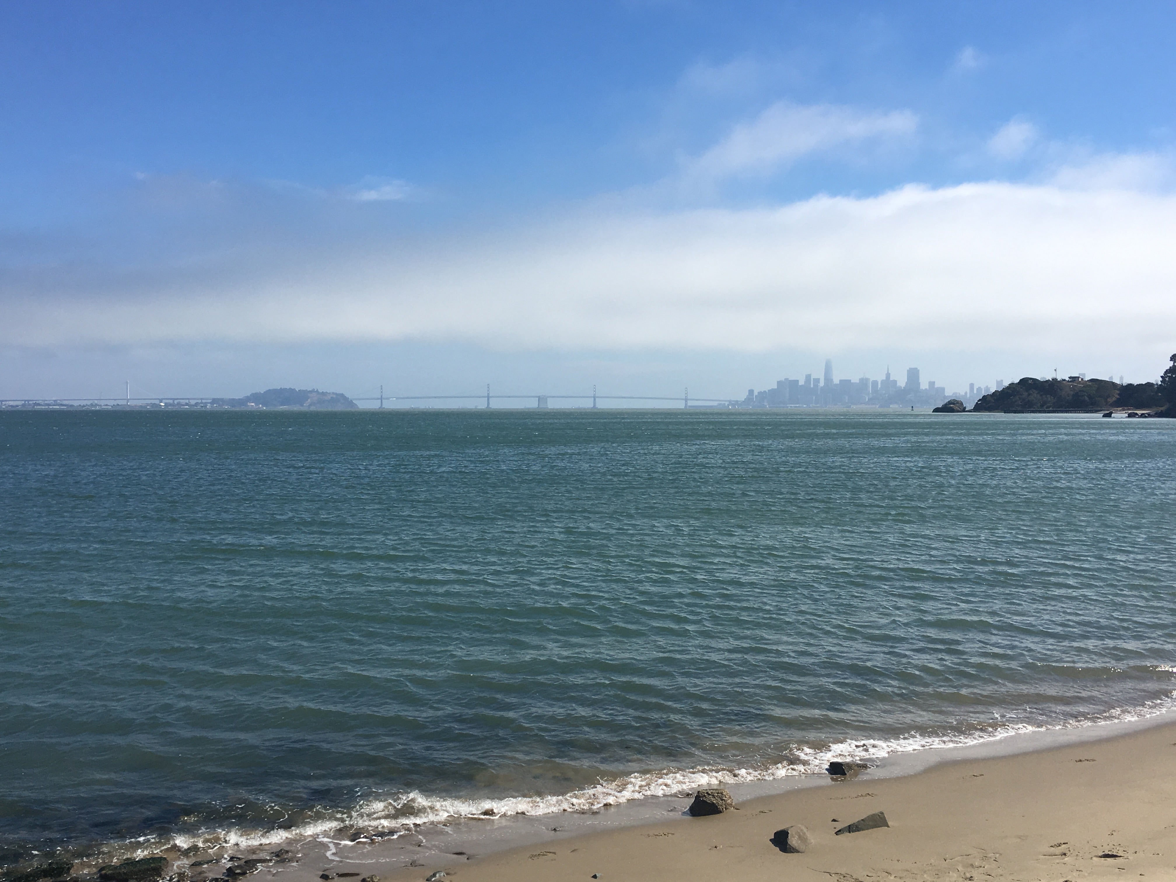Views of San Francisco from the beach.