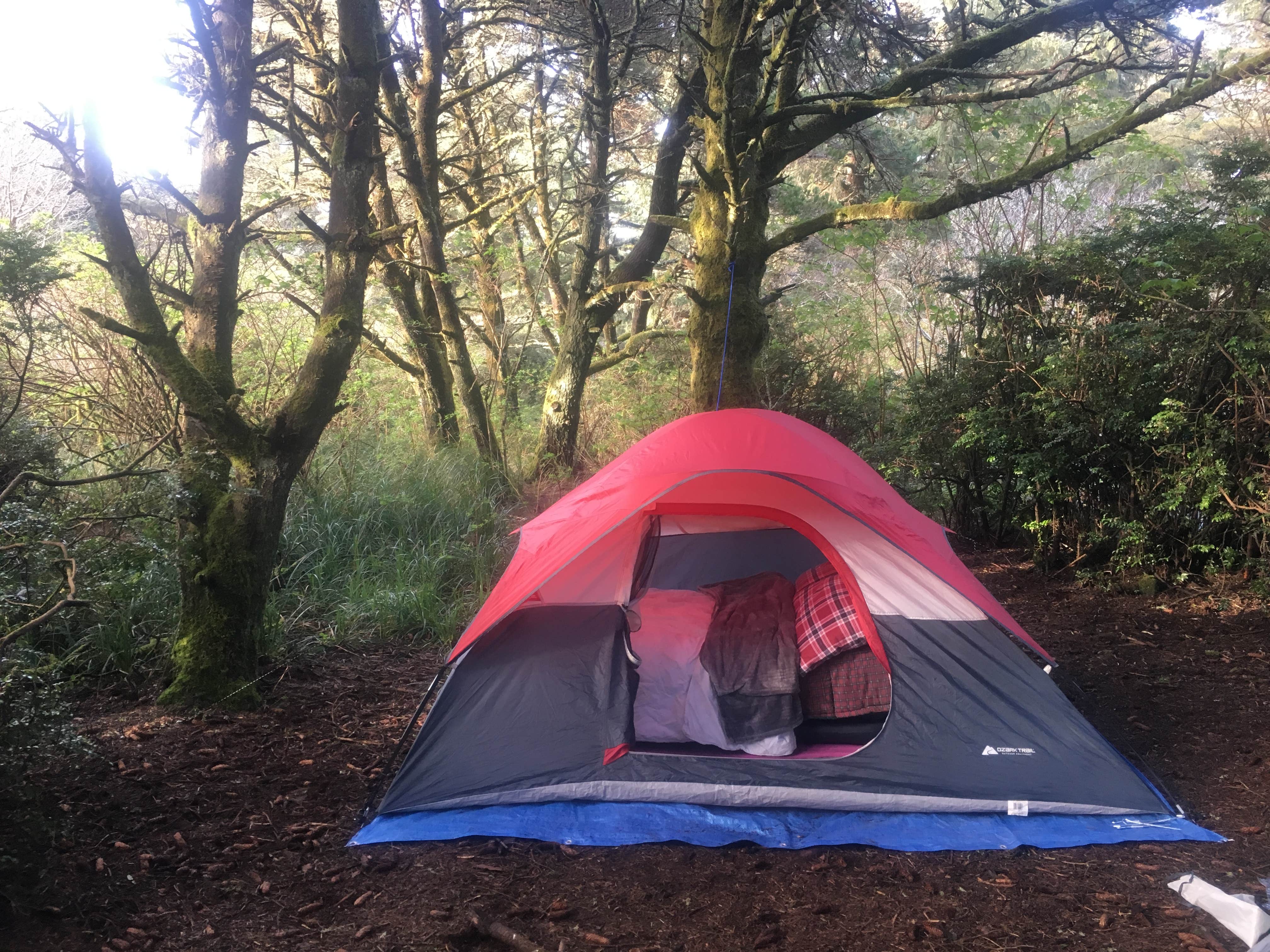 Haley C.'s photo at Cape Blanco State Park Campground near Langlois, OR
