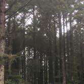 Review photo of Cape Blanco State Park Campground by Haley C., September 24, 2018