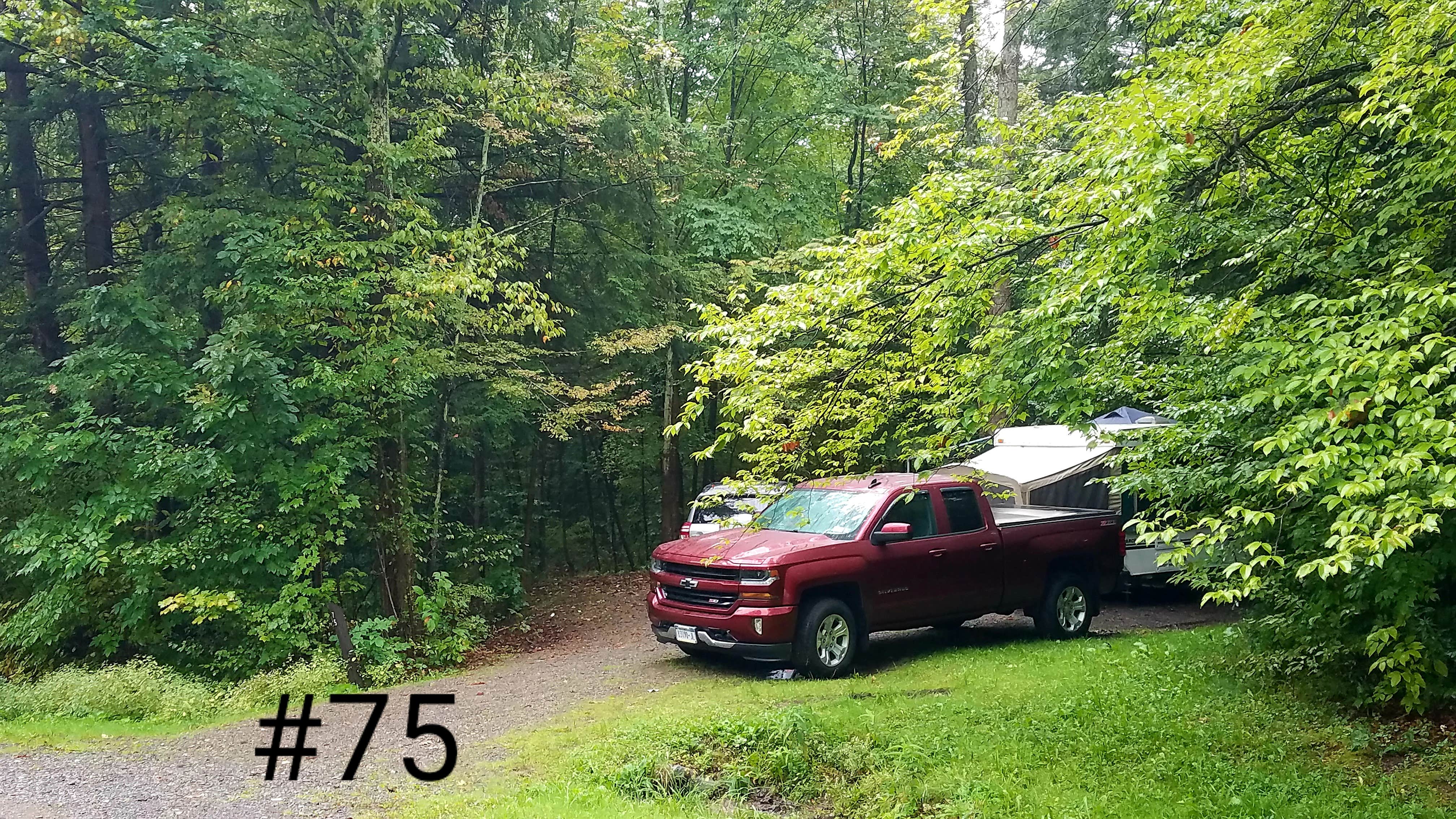 Mary S.'s photo of rv camping at Quaker Area — Allegany State Park State Park near Panama, NY