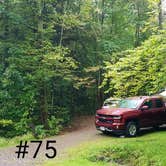 Review photo of Quaker Area — Allegany State Park State Park by Mary S., September 24, 2018