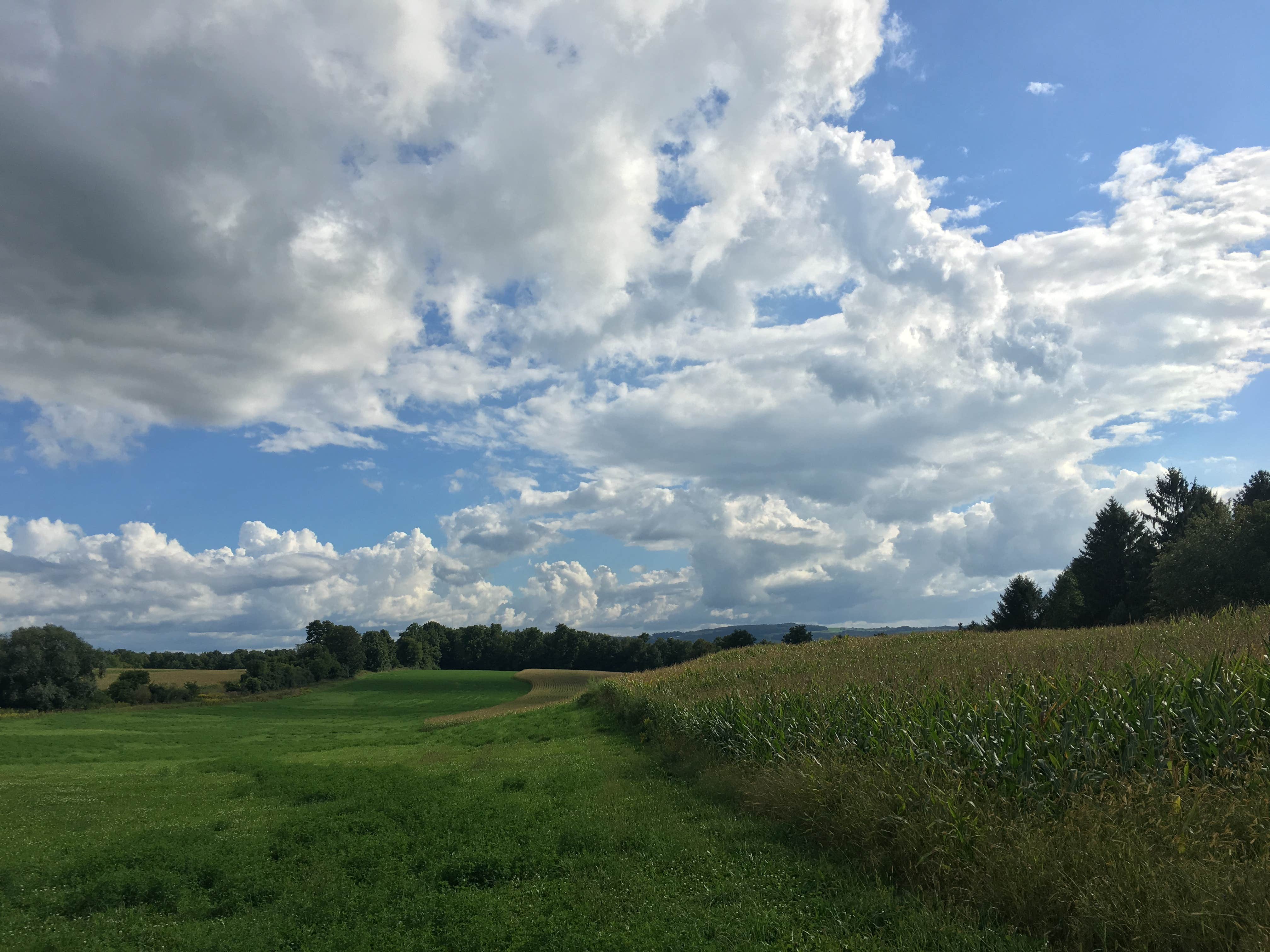 Shady Pines Camp at CBG Farm - CLOSED