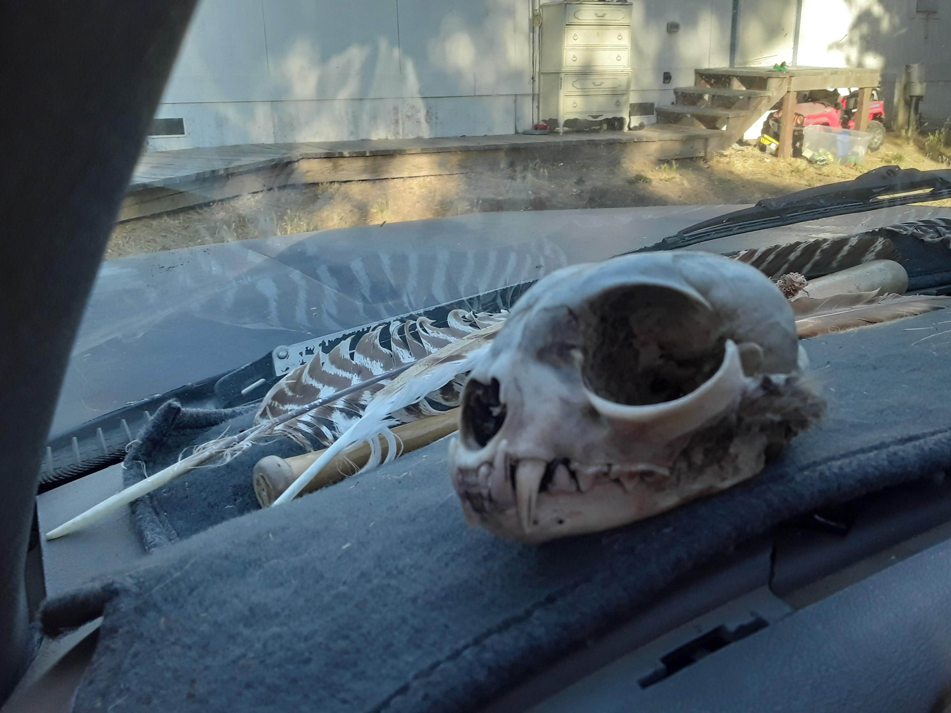 Camper-submitted photo at Earth's Skirt LLC near Morro Bay, CA