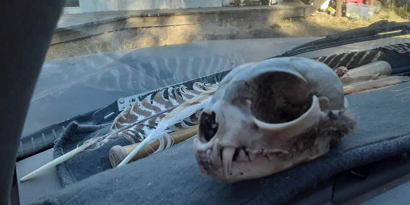 Camper submitted image from Earth's Skirt LLC