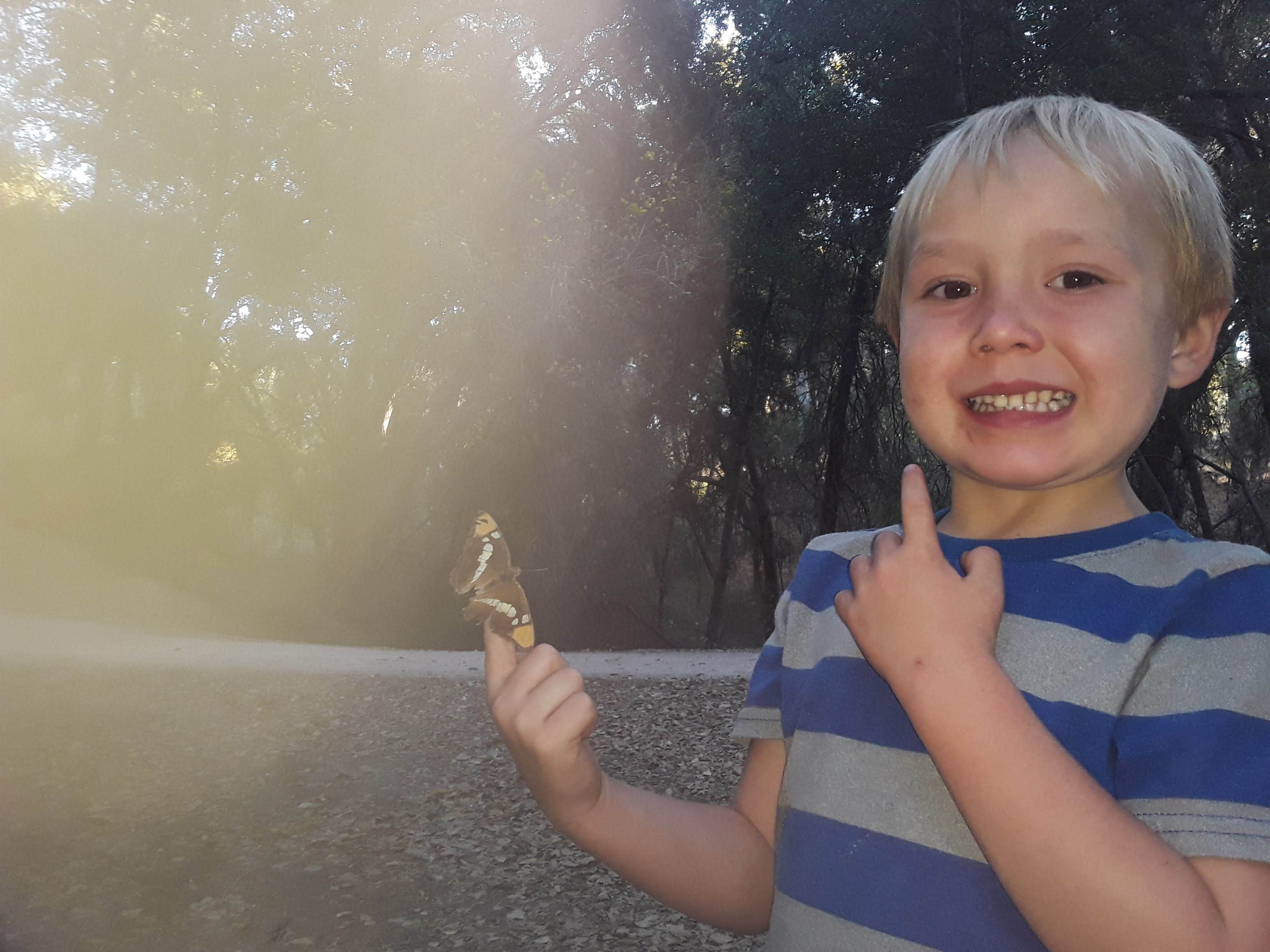 Camper-submitted photo at Earth's Skirt LLC near Morro Bay, CA