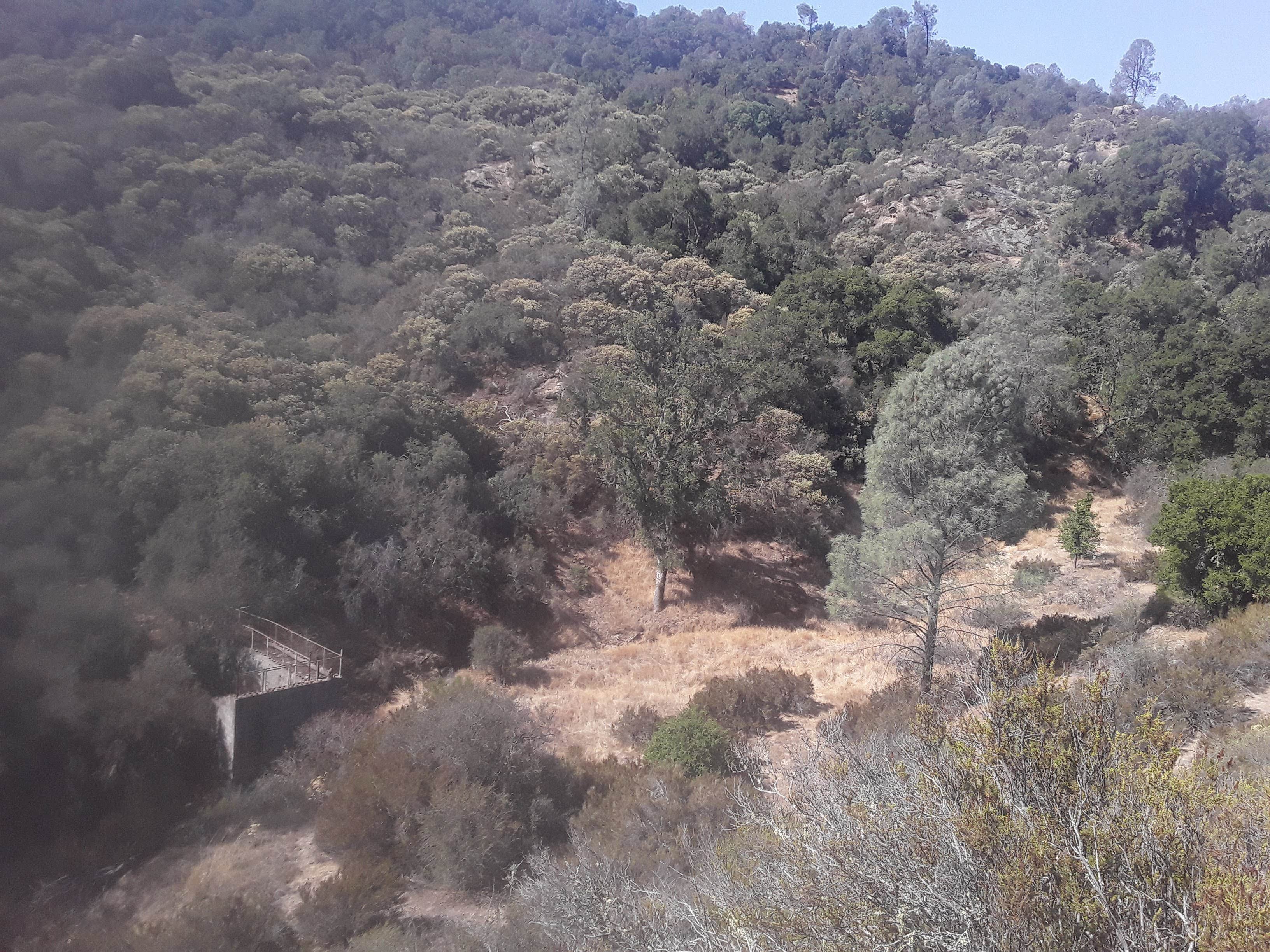 Camper-submitted photo at Earth's Skirt LLC near Morro Bay, CA