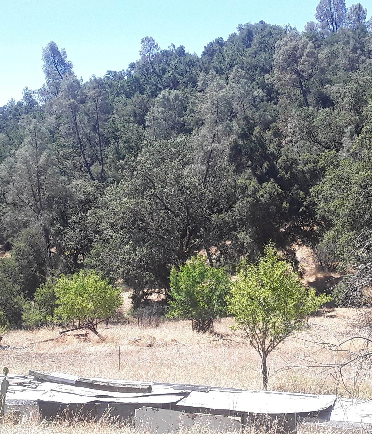 Camper-submitted photo at Earth's Skirt LLC near Morro Bay, CA