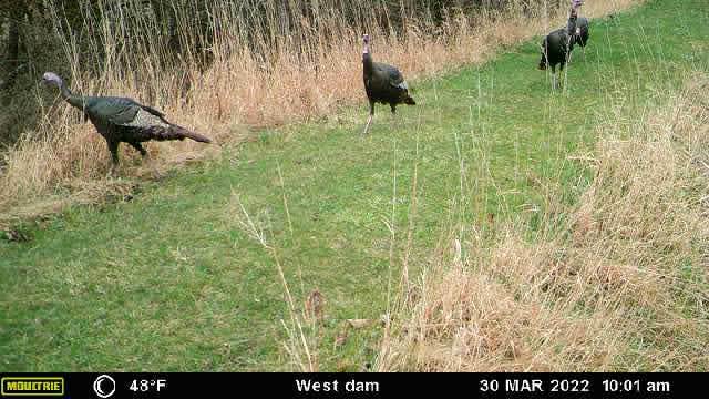 Camper submitted image from Frakers Grove Farm - 2