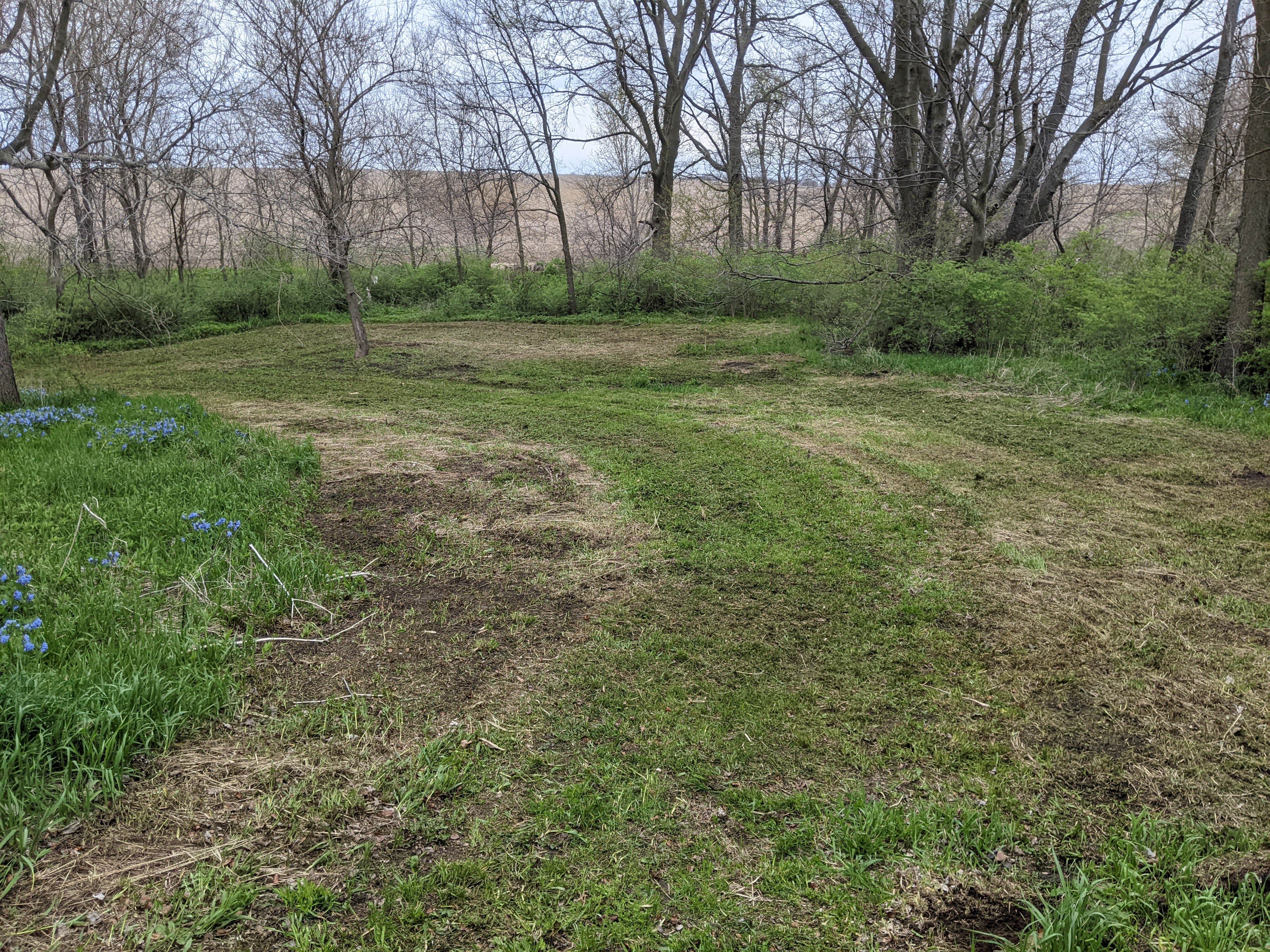 Camper-submitted photo at Frakers Grove Farm near Princeville, IL