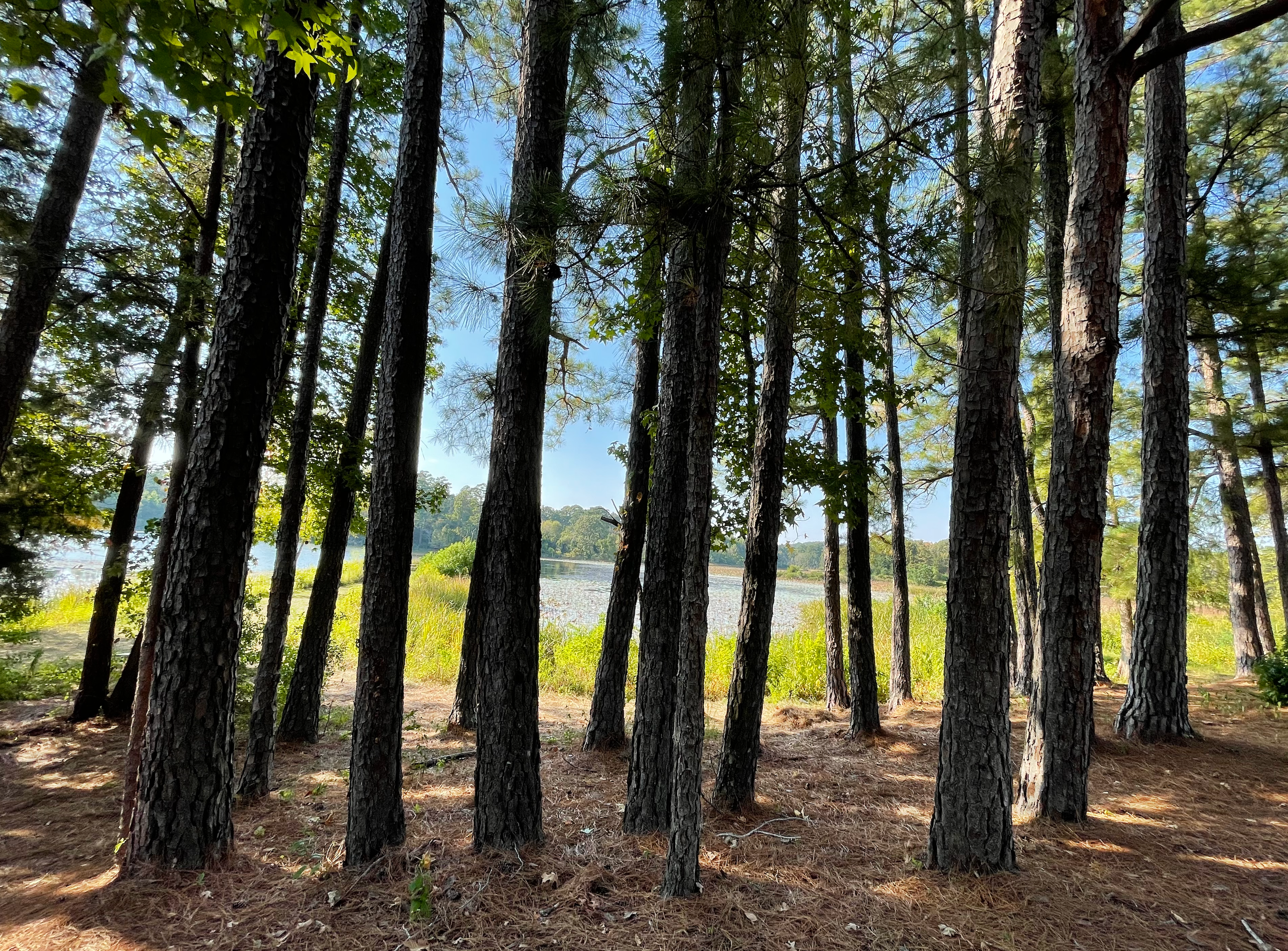 Camper-submitted photo at Rusk Depot Campground near Alto, TX