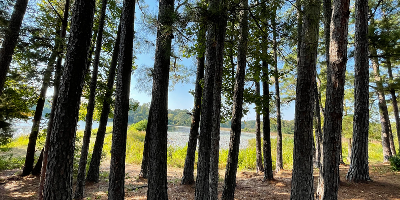 Camper submitted image from Rusk Depot Campground