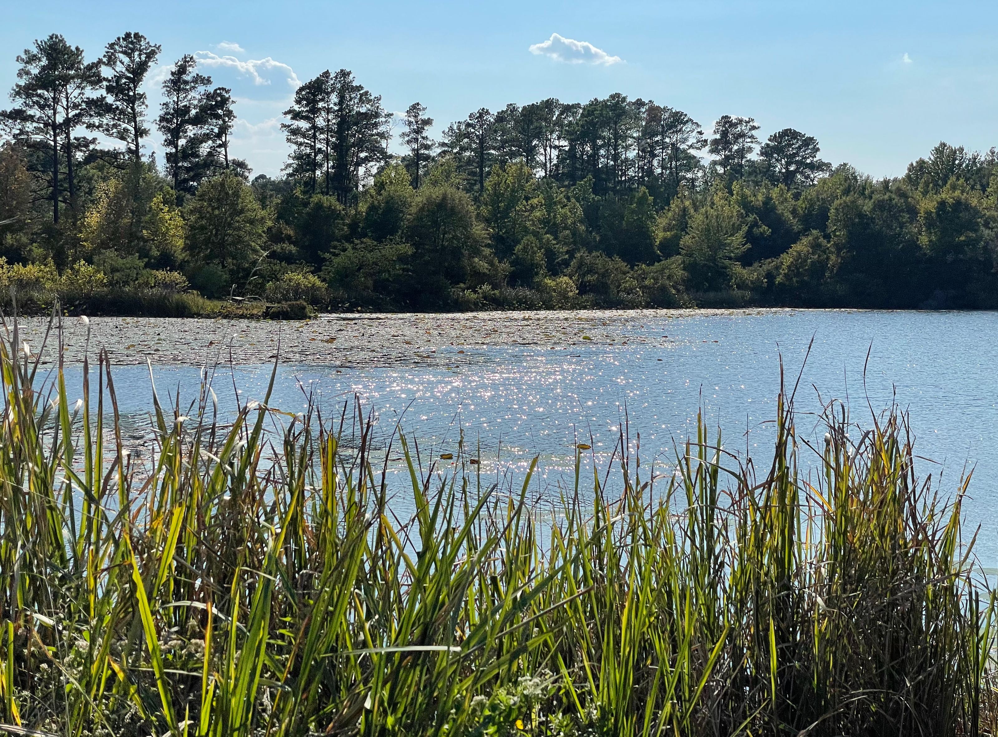 Camper-submitted photo at Rusk Depot Campground near Neches, TX