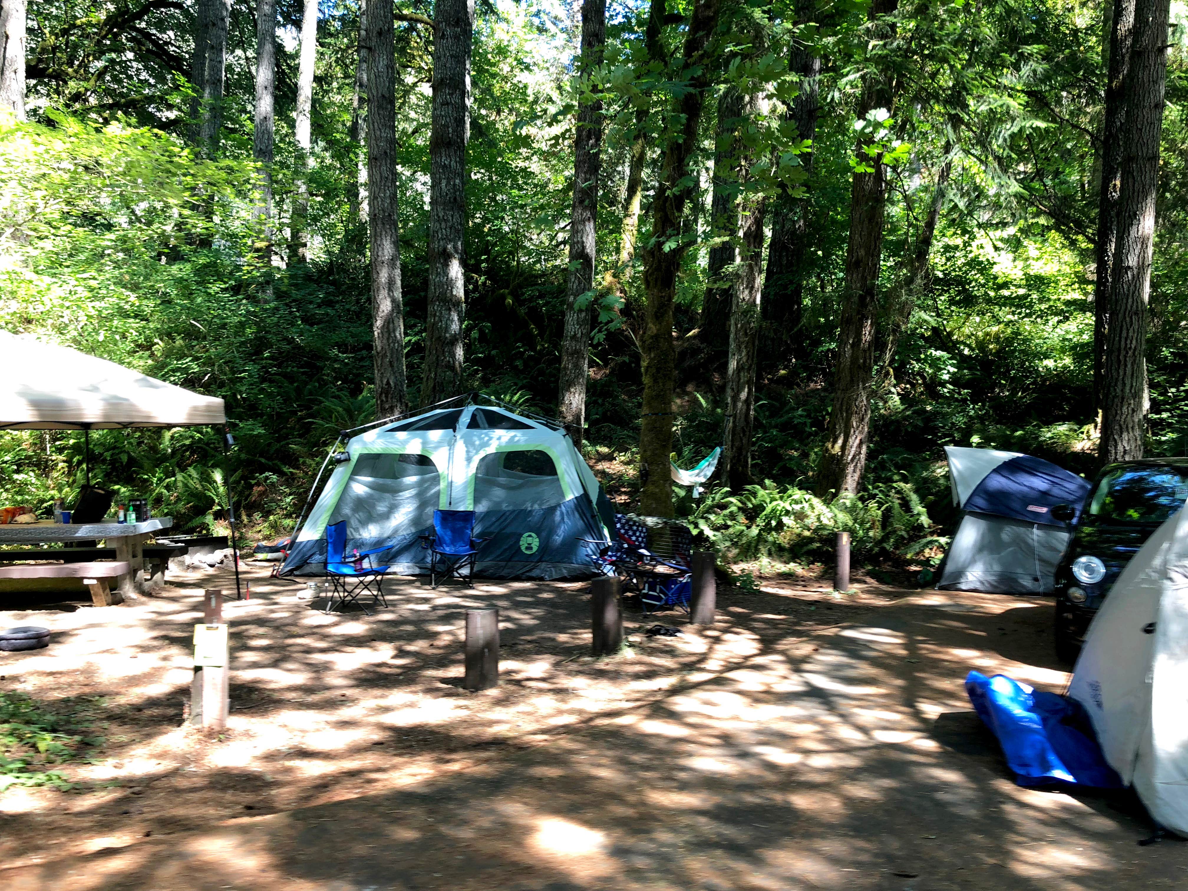 Corinna B.'s photo at Lazy Bend - TEMP CLOSED DUE TO FIRE DAMAGE near Estacada, OR