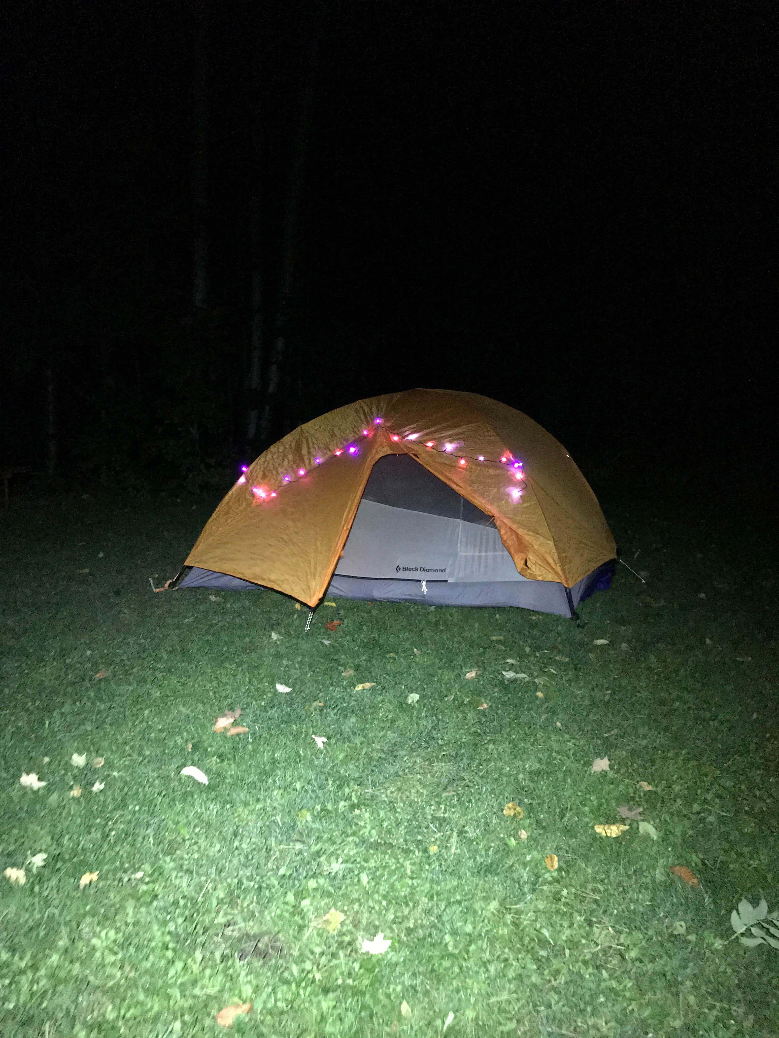 Jennifer L.'s photo at Lazy Lions Campground near Barre, VT