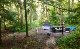 Andrea B.'s photo of tent camping at Burrells Ford in South Carolina